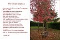 Automne_03_Velo-Jardin_Guy Faure
